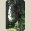 080505_London048