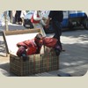 080524_BarcelonaLaRambla037