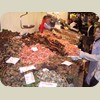 080524_BarcelonaMarkets005