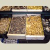080524_BarcelonaMarkets012