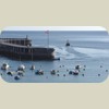 080529_Lekeitio011