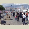 080602_LaRochelle055