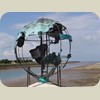 080603_LaRochelle010