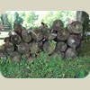 080604_ChateauPlessisBrezot028